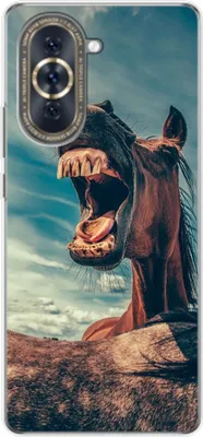Produktbild von König Design Hülle kompatibel mit Huawei nova 10 Kunststoff Soft Handyhülle - Handy Case Lustiges Pferd