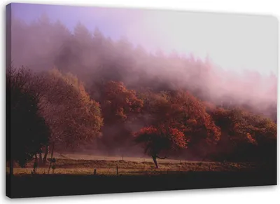Produktbild von Leinwandbild bäume im nebel 100x70 cm Feeby rosa wandbild bereit zum aufhängen