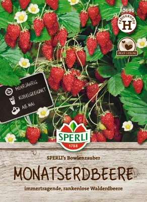 Produktbild von SPERLI - Monatserdbeere SPERLI's Bowlenzauber Samen - 80694