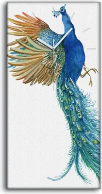 Produktbild von Wandkunst Leinwand Bild Uhr Geräuschlos 30x60 Gemälde Tier Vogel Pfau Kunst - weiße Hände