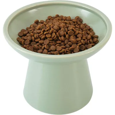 Immagine prodotto di Ciotola in Vetroceramica rialzata per gatti, con fondo piatto, larghezza 15,7 cm, altezza 12,7 cm, colore verde