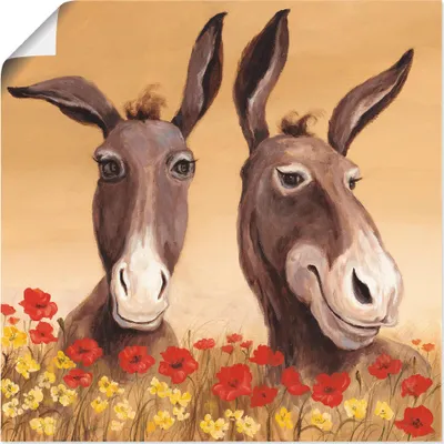 Produktbild von ARTland Poster Esel Größe: 40x40 cm
