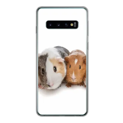 Produktbild von MuchoWow® Handyhülle Schutzhülle Hülle für Samsung Galaxy S10 Fünf Meerschweinchen Silikon Softcase Handy Hülle - Handytasche
