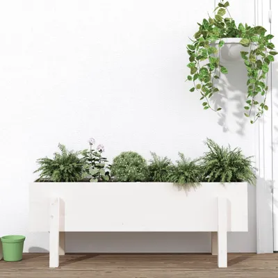 Image de Maison Exclusive - Potager surélevé blanc 101x30x38 cm Bois massif Pin