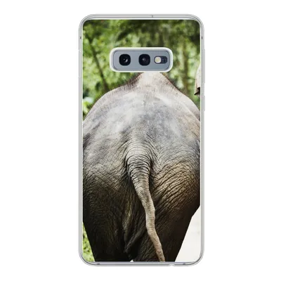 Produktbild von MuchoWow® Handyhülle Schutzhülle Hülle für Samsung Galaxy S10e Elefant - Tiere - Grau - Natur Silikon Softcase Handy Hülle - Handy