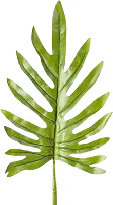 Produktbild von Boltze Gruppe Blatt 103 cm (8295400)