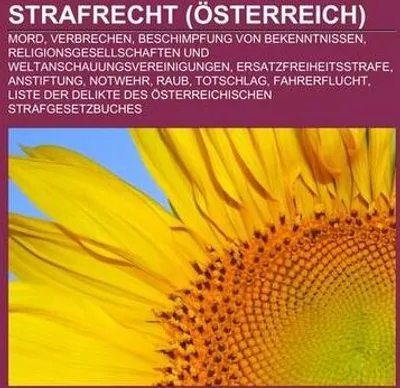 Immagine prodotto di Strafrecht (Österreich)
