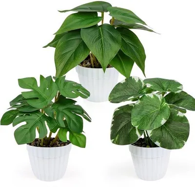 Produktbild von Kunstplanten-Set, 3-teilig, ca. 19 cm, für Balkon oder Wohnzimmer