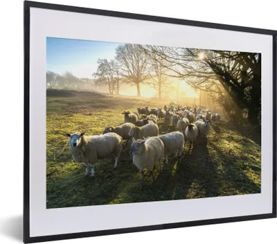 Produktbild von MuchoWow® MuchoWow® Gerahmtes Poster Schaf - Sonne - Wiese 40x30 cm - Poster mit zchwarzem Bilderrahmen - Bilderrahmen - Poster im Rahmen