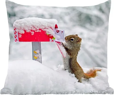 Produktbild von MuchoWow® Zierkissen Sofakissen Wohnzimmer Dekokissen 50x50 cm Eichhörnchen - Briefkasten - Schnee - Winter - Komfort - Sofakissen