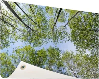 Produktbild von Gartenposter - 120x80 cm - Foto des Waldes im Sommer  - Modernes Wandbilder - Natur