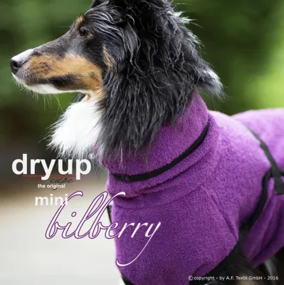 Produktbild von Dryup Cape Mini bilberry 45 cm