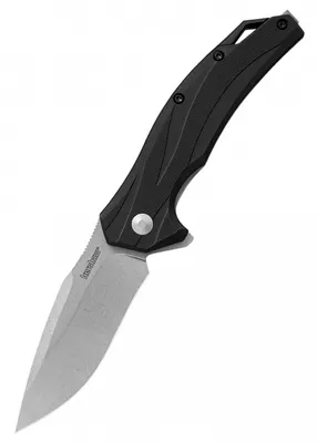 Image de Couteau pliant Kershaw Lateral 1645
