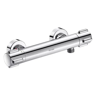 Produktbild von Delabie Brause-Thermostatarmatur SECURITHERM, Standard S-Anschlüsse