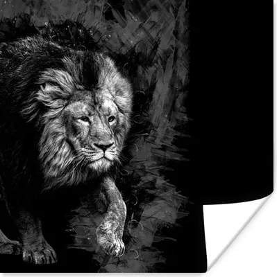 Produktbild von MuchoWow® Poster Löwe - Tiere - Schwarz - Weiß 50x50 cm - Wohnzimmerdekoration
