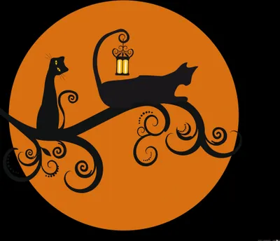 Produktbild von Katzen Kunstdruck Bild - Schwarze Katzen In Einer Vollmondnacht (70 x 70 cm)