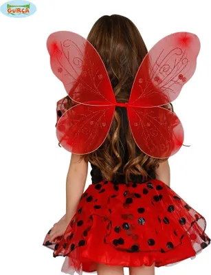 A child wearing a ladybug costume, including wings and a skirt, seen from the back.