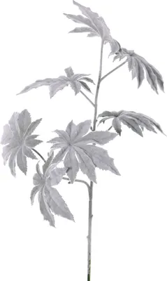 Produktbild von artplants.de Kunst Papaya Zweig NUBIE, gefroren, grau, 70cm - Zweig künstlich