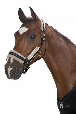 Image de Eskadron DoublePin Licol Fourrure artificielle Poney