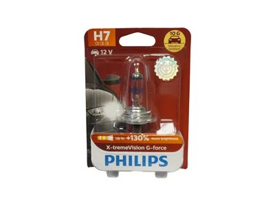 Image de Lampe de poche PHILIPS "X-tremeVision G-force",