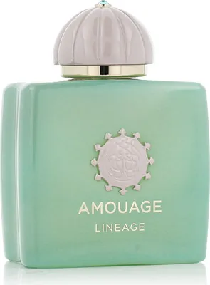 Produktbild von Amouage Lineage Eau De Parfum 100 ml (unisex)