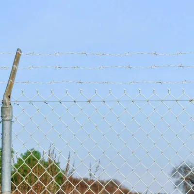 A close-up view of a barbed wire fence with a chain-link fence below it, against a clear blue sky. Some trees and dry grass are visible in the background.