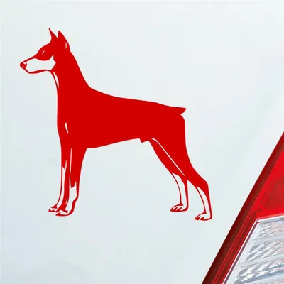 Produktbild von Auto Aufkleber Dobermann Hund Dog Animal Tier 10x10 cm Rot Sticker Heckscheibenaufkleber