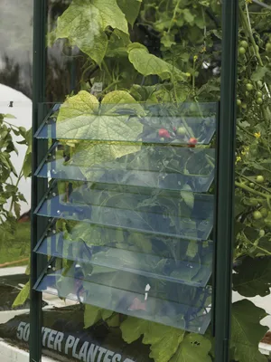 Obrázok produktu pre Vitavia žalúziové nástenné okno pre skleníky zelené