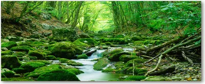 Produktbild von Tulup® Leinwandbild - 125x50 cm - Wandkunst - Drucke auf Leinwand - Leinwanddruck  - Landschaften - Grün - Bach im Wald