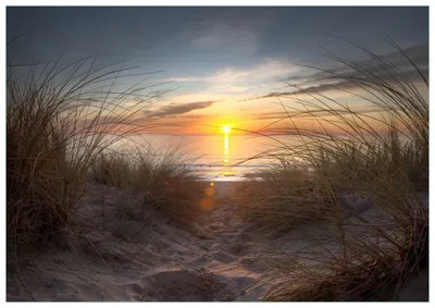 Produktbild von Wallario Premium Glasbild, freischwebende Optik, kräftige Farben, Größe 100 x 70 cm Motiv Sonnenuntergang am Strand