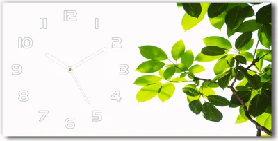 Produktbild von Wanduhr aus Glas – 60x30 cm - Glasbild - Glasuhr - Gehärtetes Glas - weisse-zeiger - Blätter