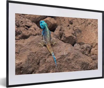 Produktbild von MuchoWow® Gerahmtes Poster Eine Feuerechse auf den Felsen 60x40 cm - Poster mit Schwarzem Bilderrahmen Wandposter Rahmen Foto Bilder - Schlafzimmer - Plakat in Rahmen - Drucken