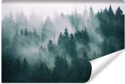 Produktbild von Muralo Selbstklebende Fototapete WALD IM NEBEL Bäume Natur Landschaft 3D Br. 90cm x Hö. 60cm
