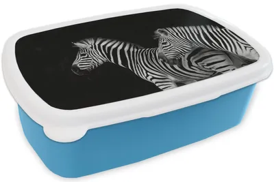 Produktbild von KitchenYeah® Lunchbox Brotzeit Brotdose 17x11 cm Zebra - Weiß - Tiere - Schwarz Kinder Brotzeitdose - Lunch - Kunststoff  - Brotbüchse - Sandwichbox - Lunchbox für Kinder