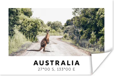 Produktbild von MuchoWow® Poster Känguru - Australien - Tiere 60x40 cm - Schlafzimmerdekoration