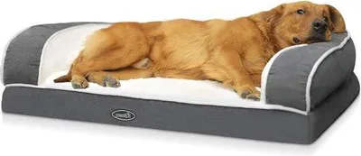 Produktbild von Orthopädisches Hundebett XL 101x66x20cm