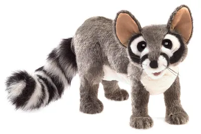 Produktbild von Folkmanis Handpuppe Katzenfrett 3122