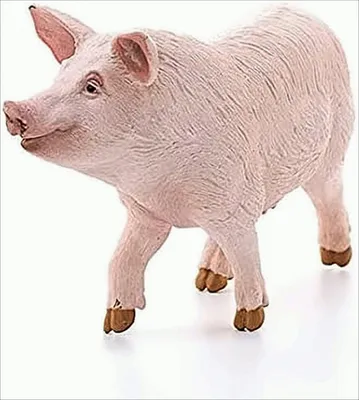 Produktbild von Schleich 13782 Schwein