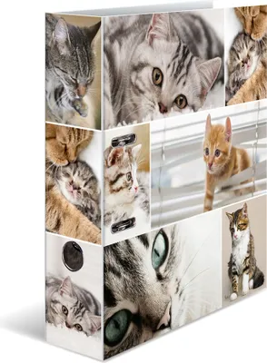 Produktbild von HERMA Motivordner Herma Animals 7166 - A4 315 x 285 mm Katzen 70 mm breit Hebelmechanik Folienkarton