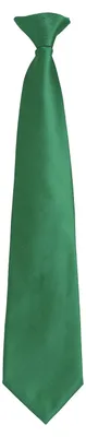 Immagine prodotto di Premier - "Colours Orginals Fashion" Cravatta con fermaglio LT2703 (taglia unica) (smeraldo)