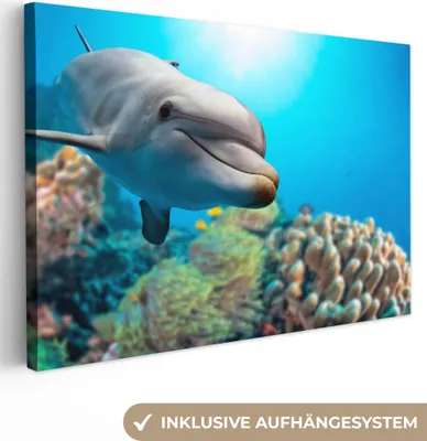 Obrázek produktu pro OneMillionCanvasses® - Obrazy na plátně - 140x90 cm, Delfín - Moře - Korál, nástěnné umění Vytisknout Nástěnná dekorace