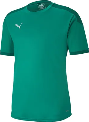 Produktbild von Puma FINAL 21 Trainingstrikot Herren grün Gr M