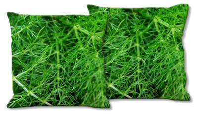 Productafbeelding van Set van 2 Fotokussenhoezen 40 x 40 cm