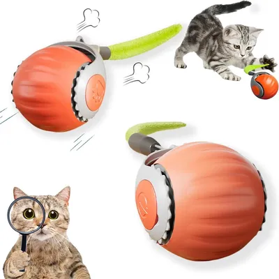 Produktbild von Interaktives Katzenball Spielzeug, Elektrisch Katzenspielzeug Ball interaktives Spielzeug mit Schwanz für Katzen Katzenspielzeug Selbstbeschäftigung