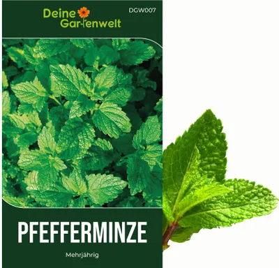 Produktbild von Pfefferminze Mehrjährig Samen - Mentha piperita - Pfefferminzesamen - Kräutersamen - Saatgut für 100 Pflanzen
