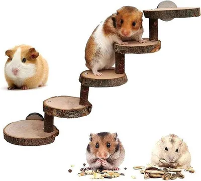 Immagine prodotto di Scivolo in legno per criceti e piccoli animali; Ponte in legno per gabbia per criceti