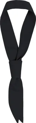 Produktbild von Greiff GASTRO MODA 3er-Pack Servicekrawatten diverse Farben 10 - Schwarz