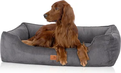 Produktbild von Knuffelwuff orthopädisches Hundebett aus Cord mit Handwebcharakter Nunavut XL 105 x 75cm Grau