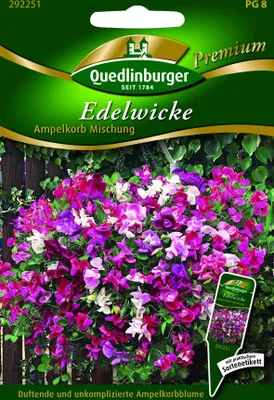 Produktbild von Edelwicken, Ampelkorb Mischung