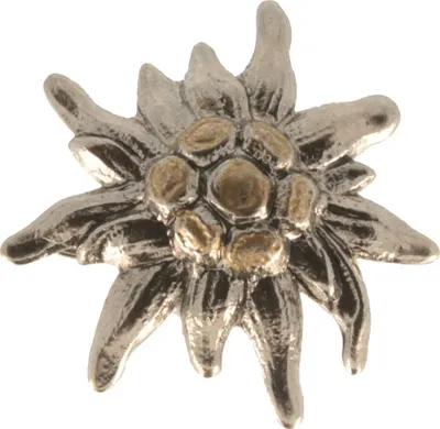 Hutanstecker Edelweiß klein von Hut-Breiter in silber